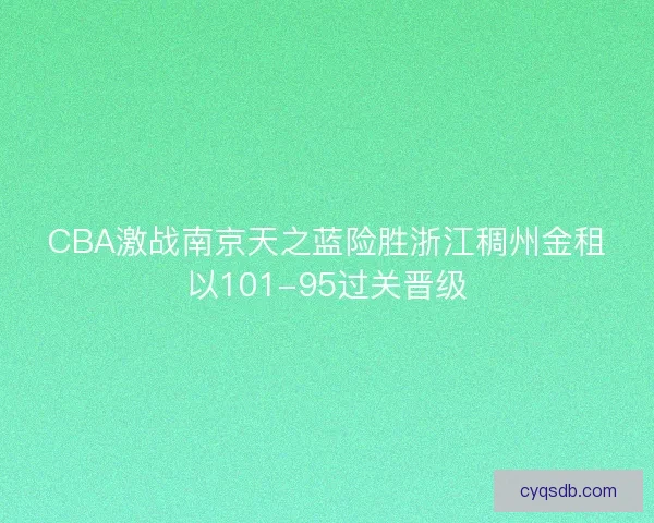 CBA激战南京天之蓝险胜浙江稠州金租以101-95过关晋级