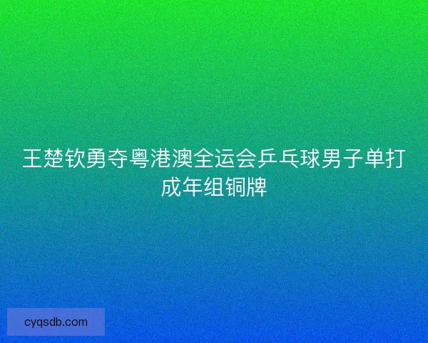 王楚钦勇夺粤港澳全运会乒乓球男子单打成年组铜牌